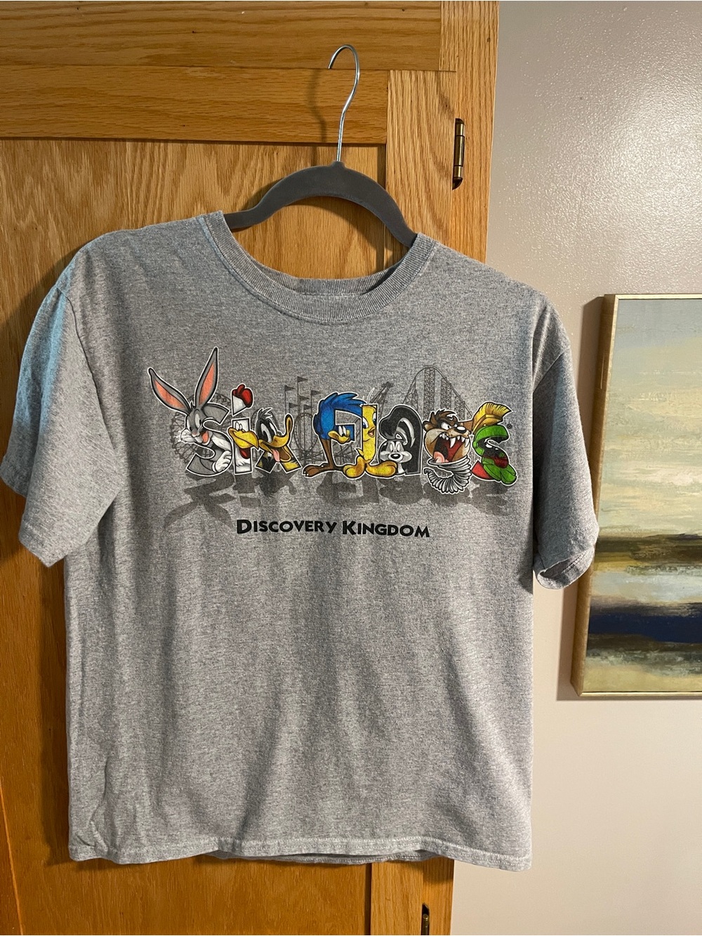 Six Flags Y2K Discovery Kingdom Grey‎ Kids Short Sleeve Tee Looney Toons